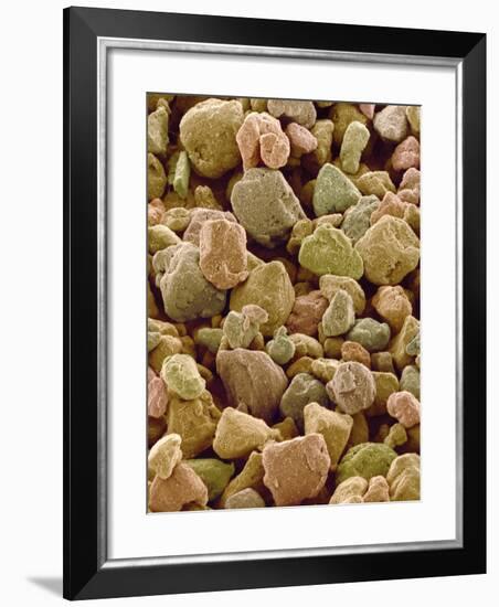 Photocopier Toner Particles, SEM-Susumu Nishinaga-Framed Photographic Print