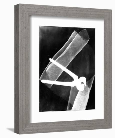 Photogram with Pliers, 1920-El Lissitzky-Framed Giclee Print