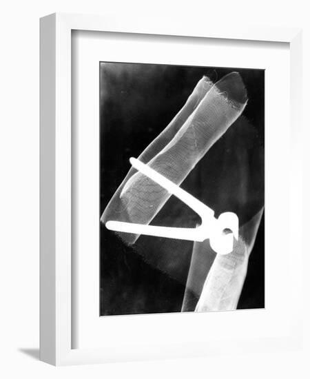 Photogram with Pliers, 1920-El Lissitzky-Framed Giclee Print