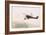 Photograph of a Wingwalkers on a Biplane-null-Framed Giclee Print