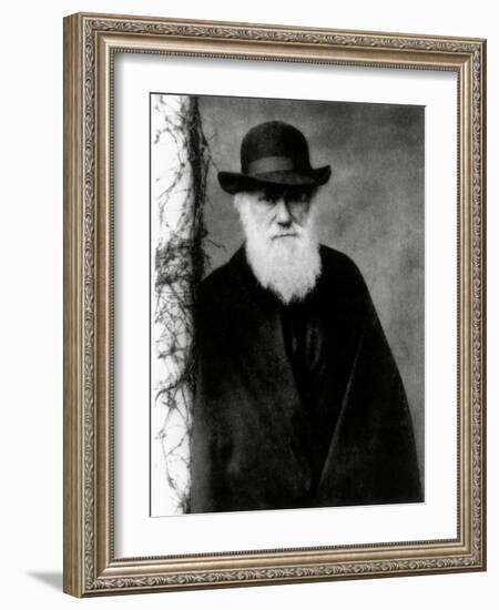 Photograph of Charles Darwin In 1881, Aged 72-Science Photo Library-Framed Photographic Print