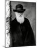 Photograph of Charles Darwin In 1881, Aged 72-Science Photo Library-Mounted Photographic Print