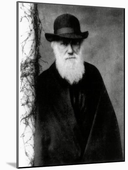 Photograph of Charles Darwin In 1881, Aged 72-Science Photo Library-Mounted Photographic Print