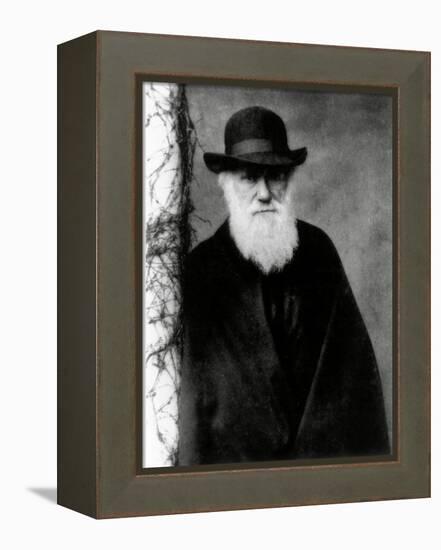 Photograph of Charles Darwin In 1881, Aged 72-Science Photo Library-Framed Premier Image Canvas