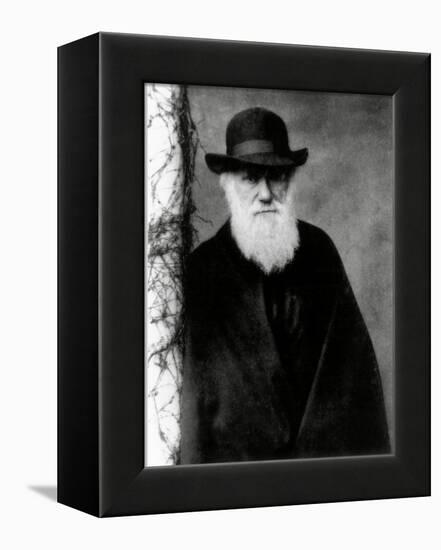 Photograph of Charles Darwin In 1881, Aged 72-Science Photo Library-Framed Premier Image Canvas