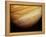 Photograph Of Jupiter-null-Framed Premier Image Canvas