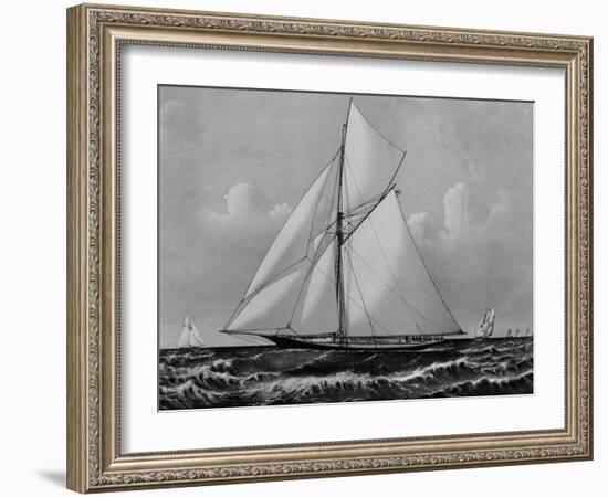 Photograph of Sketch of the Thistle, the Losing Scottish Entry in Race for America's Cup in 1887-null-Framed Photographic Print