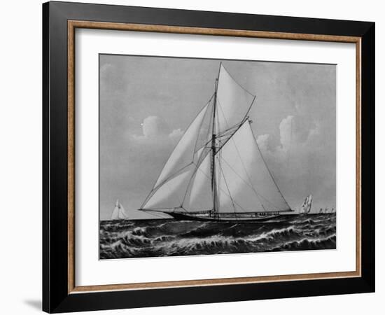 Photograph of Sketch of the Thistle, the Losing Scottish Entry in Race for America's Cup in 1887-null-Framed Photographic Print