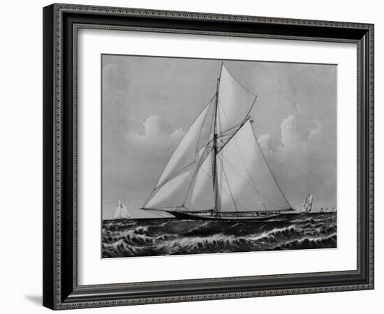 Photograph of Sketch of the Thistle, the Losing Scottish Entry in Race for America's Cup in 1887-null-Framed Photographic Print