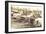 Photograph of Trailer Park-null-Framed Art Print