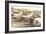 Photograph of Trailer Park-null-Framed Art Print