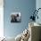 Photographer with Camera, New York-null-Premium Photographic Print displayed on a wall