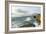 Photographers Along Cape Kiwanda. Pacific City, OR-Justin Bailie-Framed Photographic Print