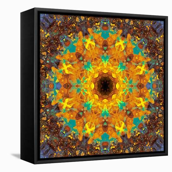 Photographic Kaleidoscope from Flower Images-Alaya Gadeh-Framed Premier Image Canvas