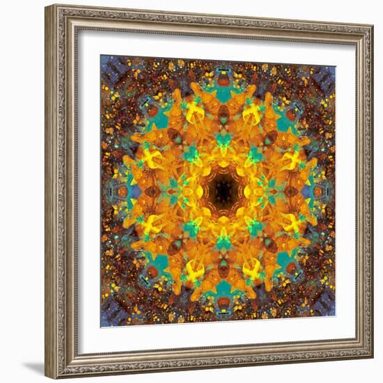 Photographic Kaleidoscope from Flower Images-Alaya Gadeh-Framed Photographic Print