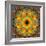 Photographic Kaleidoscope from Flower Images-Alaya Gadeh-Framed Photographic Print