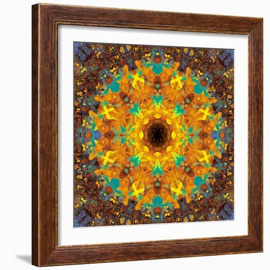 Photographic Kaleidoscope from Flower Images-Alaya Gadeh-Framed Photographic Print