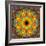 Photographic Kaleidoscope from Flower Images-Alaya Gadeh-Framed Photographic Print