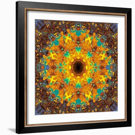 Photographic Kaleidoscope from Flower Images-Alaya Gadeh-Framed Photographic Print