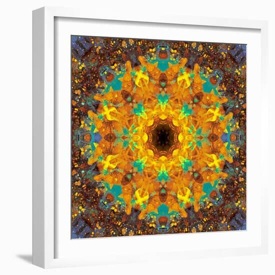 Photographic Kaleidoscope from Flower Images-Alaya Gadeh-Framed Photographic Print