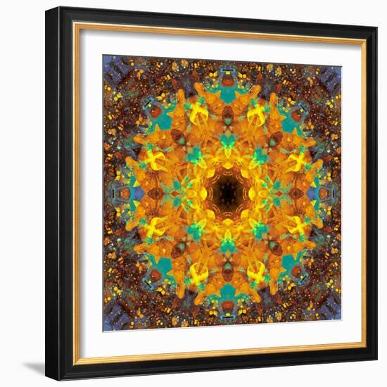 Photographic Kaleidoscope from Flower Images-Alaya Gadeh-Framed Photographic Print