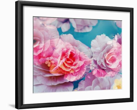 Photographic Layer Work from Blossoms in Water-Alaya Gadeh-Framed Photographic Print