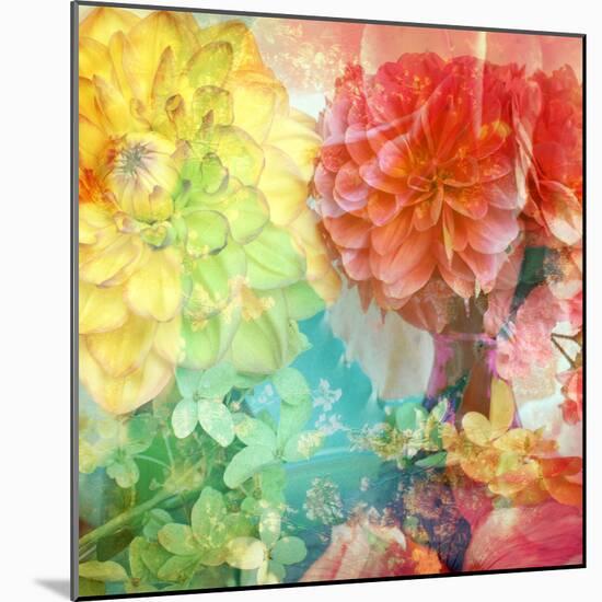 Photographic Layer Work from Flowers-Alaya Gadeh-Mounted Photographic Print