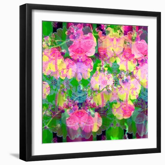 Photographic Layer Work from Orchids and Floral Ornaments-Alaya Gadeh-Framed Photographic Print