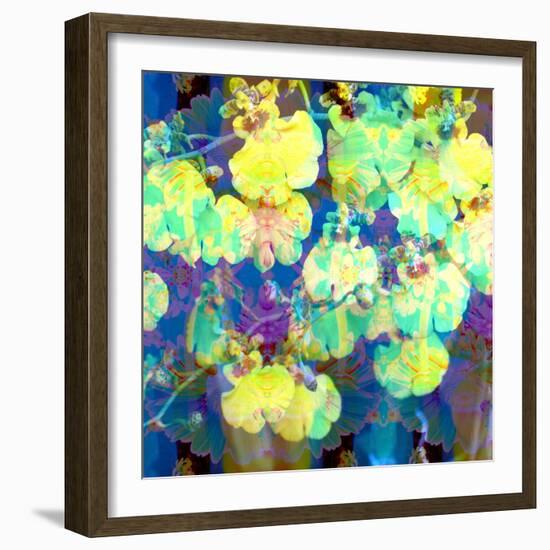 Photographic Layer Work from Orchids and Floral Ornaments-Alaya Gadeh-Framed Photographic Print