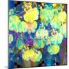 Photographic Layer Work from Orchids and Floral Ornaments-Alaya Gadeh-Mounted Photographic Print