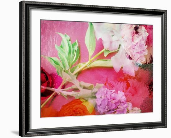 Photographic Layer Work from Poenies and Other Flowers in Delicate Frosted Water-Alaya Gadeh-Framed Photographic Print