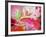 Photographic Layer Work from Poenies and Other Flowers in Delicate Frosted Water-Alaya Gadeh-Framed Photographic Print