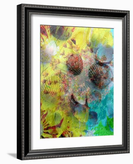 Photographic Layer Work from Seashells and Flowers-Alaya Gadeh-Framed Photographic Print