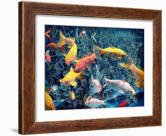 Photographic Layer Work from Swimming Fishes and Leafes-Alaya Gadeh-Framed Photographic Print