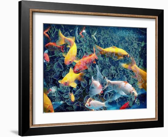 Photographic Layer Work from Swimming Fishes and Leafes-Alaya Gadeh-Framed Photographic Print
