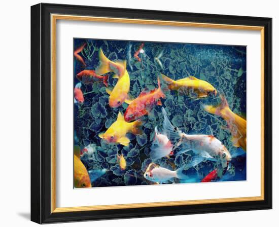 Photographic Layer Work from Swimming Fishes and Leafes-Alaya Gadeh-Framed Photographic Print