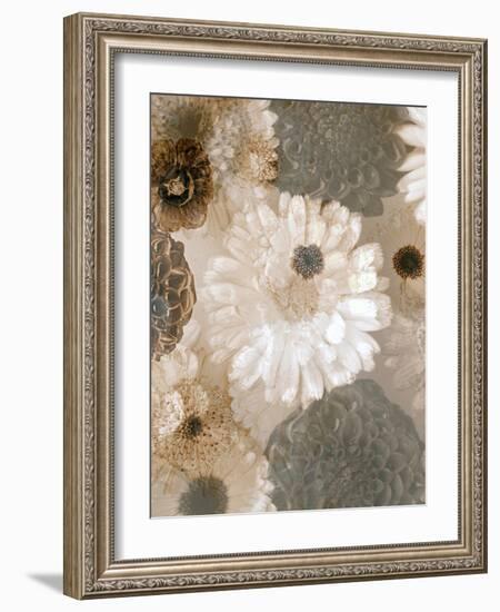 Photographic Layer Work from White and Brown Blossoms-Alaya Gadeh-Framed Photographic Print