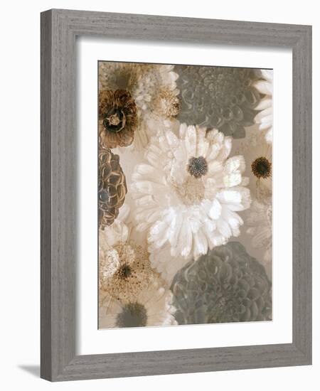 Photographic Layer Work from White and Brown Blossoms-Alaya Gadeh-Framed Photographic Print