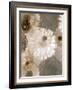 Photographic Layer Work from White and Brown Blossoms-Alaya Gadeh-Framed Photographic Print