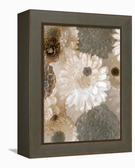 Photographic Layer Work from White and Brown Blossoms-Alaya Gadeh-Framed Premier Image Canvas