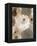 Photographic Layer Work from White and Brown Blossoms-Alaya Gadeh-Framed Premier Image Canvas