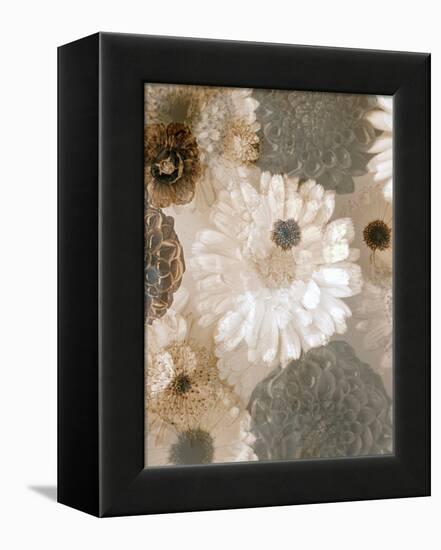 Photographic Layer Work from White and Brown Blossoms-Alaya Gadeh-Framed Premier Image Canvas