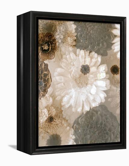 Photographic Layer Work from White and Brown Blossoms-Alaya Gadeh-Framed Premier Image Canvas