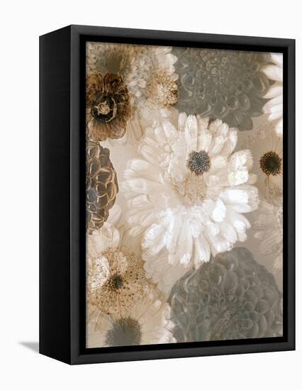 Photographic Layer Work from White and Brown Blossoms-Alaya Gadeh-Framed Premier Image Canvas