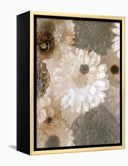 Photographic Layer Work from White and Brown Blossoms-Alaya Gadeh-Framed Premier Image Canvas