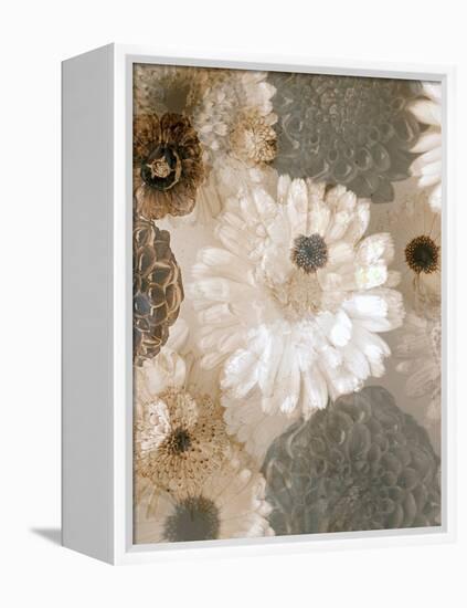 Photographic Layer Work from White and Brown Blossoms-Alaya Gadeh-Framed Premier Image Canvas