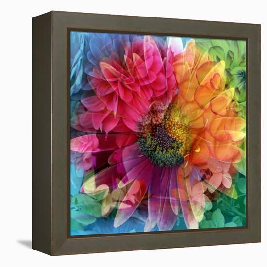 Photographic Layer Work of a Big Blossom in Multicolor-Alaya Gadeh-Framed Premier Image Canvas