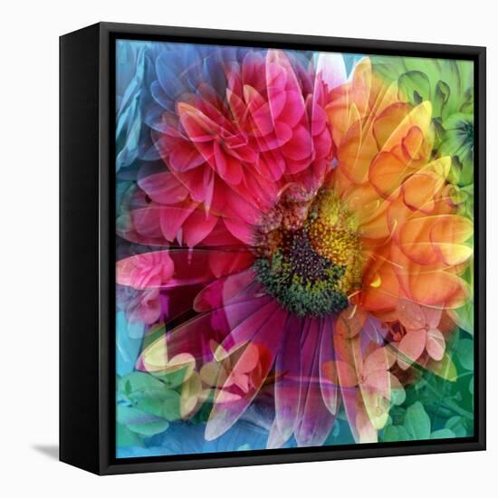 Photographic Layer Work of a Big Blossom in Multicolor-Alaya Gadeh-Framed Premier Image Canvas