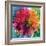 Photographic Layer Work of a Big Blossom in Multicolor-Alaya Gadeh-Framed Photographic Print