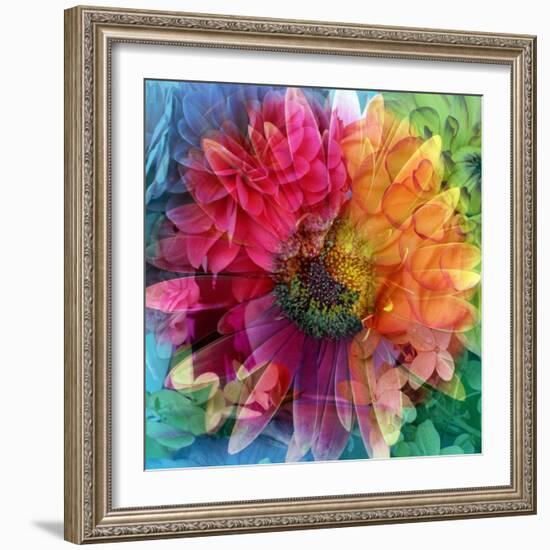 Photographic Layer Work of a Big Blossom in Multicolor-Alaya Gadeh-Framed Photographic Print